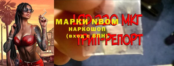 шишки Алзамай