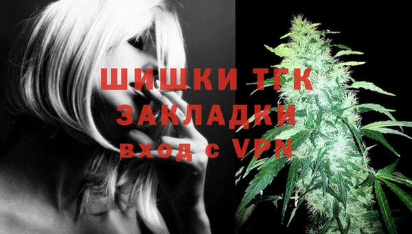 шишки Алзамай