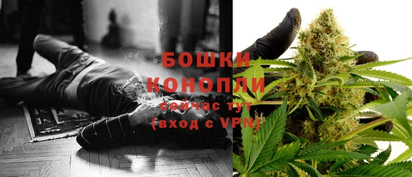 шишки Алзамай
