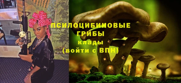 шишки Алзамай