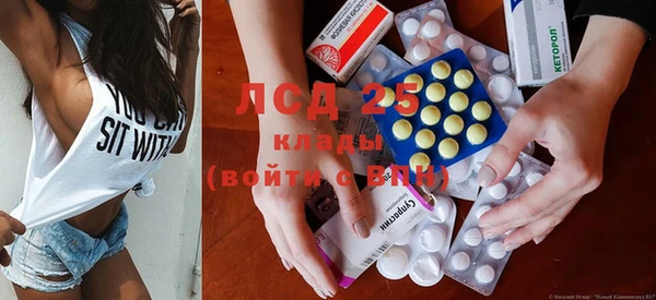 шишки Алзамай