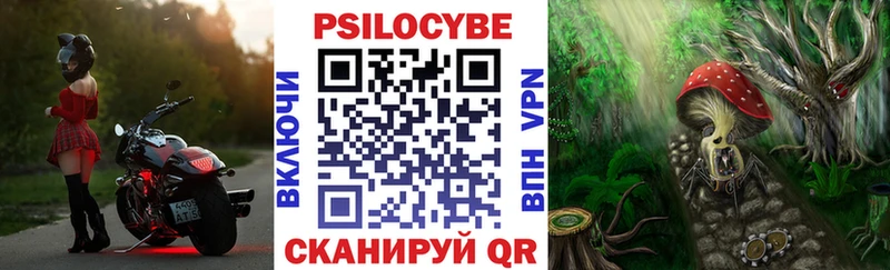 Галлюциногенные грибы GOLDEN TEACHER  дарнет шоп  Юрьев-Польский 